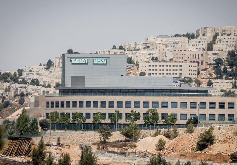 צילום: יונתן זינדל, פלאש 90