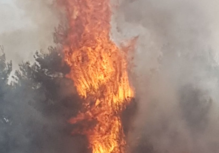 שריפה בעוטף עזה - טרור העפיפונים. צילום: טל לב רם