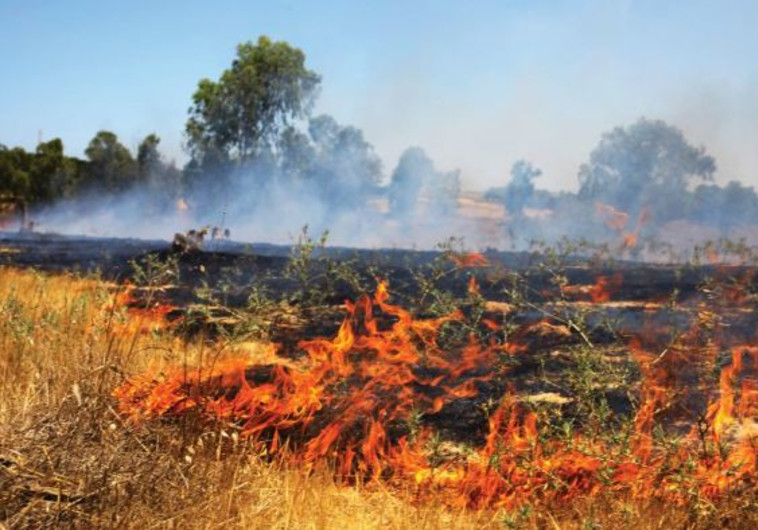 שדות כיסופים עולים בלהבות. צילום: אריאל בשור
