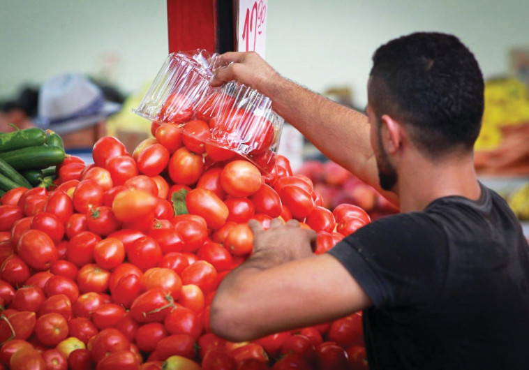 משרד החקלאות: צפי למחסור בעגבניות ועליית מחירים לקראת החגים 493752