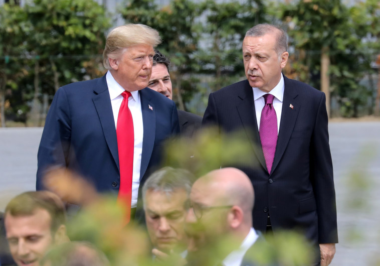 ארדואן עם טראמפ. צילום: רויטרס