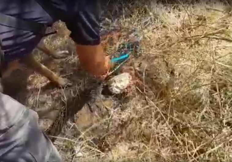 &times;&times;&iexcl;&times;&uml;&times;&times;&sect;&times;&times;&ordf; &times;&times;&times;&times;&times;&times; &times;&times;&times;&ordf;&times;&uml;&times; &times;&times;&times;&times;&times;&times;&times;&ordf; &times;&times;&times; &times;&times;&times;&copy;&times;&times;&times;