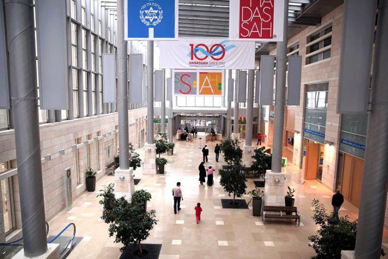 הדסה. צילום: דוברות בית החולים