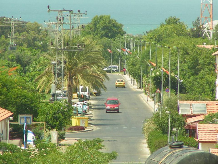 הישוב נווה דקלים לפני הפינוי. צילום: מתניה אליקים