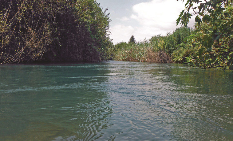 נחל דן. צילום: מיטל שרעבי