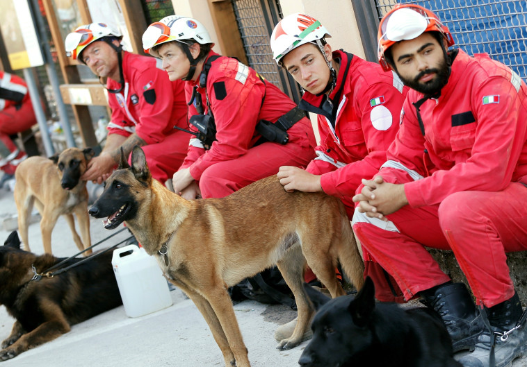 צוותי החילוץ עם כלבי האיתור באיטליה. צילום: רויטרס
