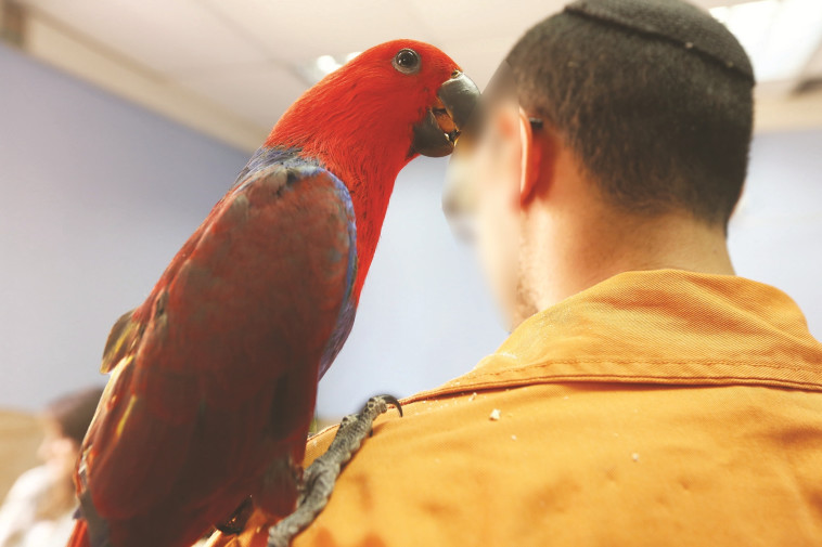 אסיר בכלא מעשיהו. צילום: אריאל בשור.