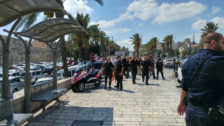 צילום: דוברות מד&quot;א