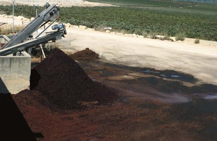 יקב ברקן בפעולה. צילום: מיטל שרעבי