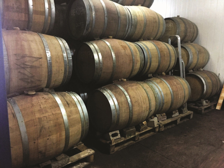 יקב רד פואטרי. צילום: מיטל שרעבי