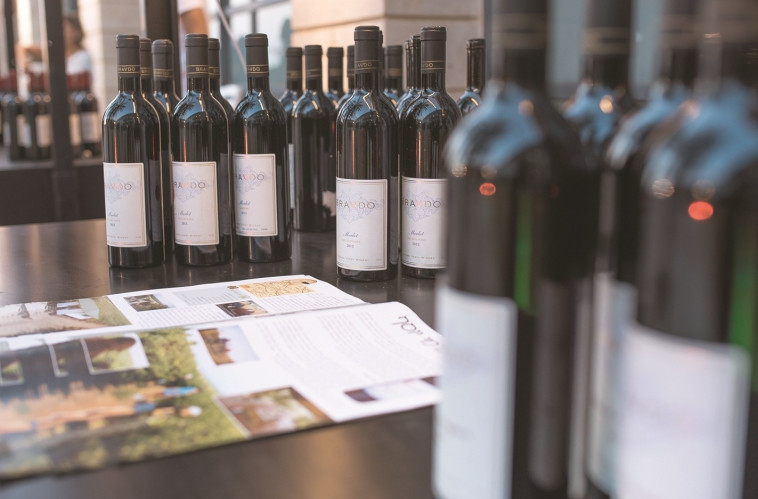 10 שקלים לכוס, פסטיבל חוויה בכרם. צילום: רונן חורש