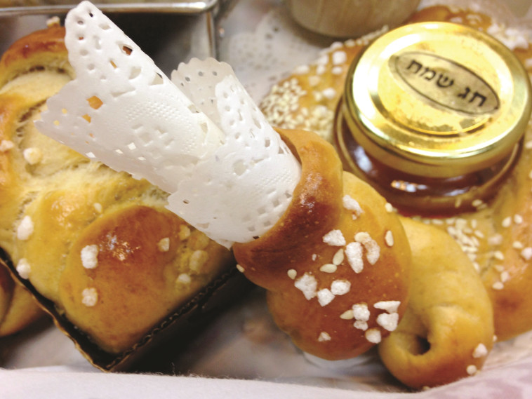 דרך מקורית להחזקת המפיות. צילום: פסקל פרץ רובין