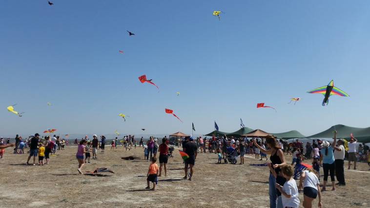 פעילות עפיפונים בבית גוברין. צילום: עמית לבקוב, רשות הטבע והגנים