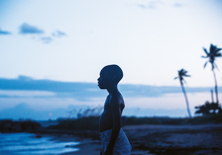 אור ירח. קורבן לעומס השבחים. צילום: יח&quot;צ