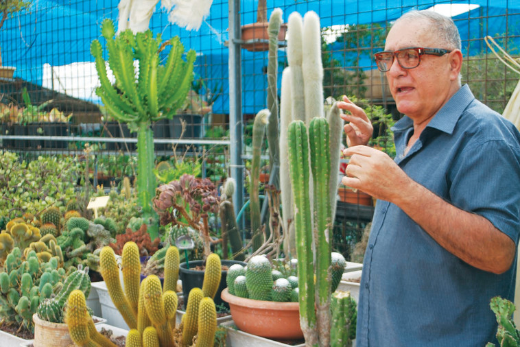 &quot;חי, צומח, דומם&quot; בתלמי אלעזר. צילום: מיטל שרעבי