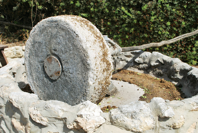 החווה הכפרית לשלום. צילום: מיטל שרעבי