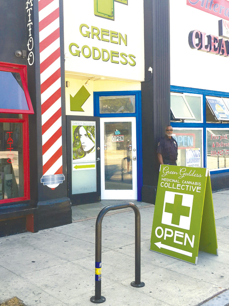 הירוק האלוהי. צילום: אמיר זוהר, באדיבות פוסטה