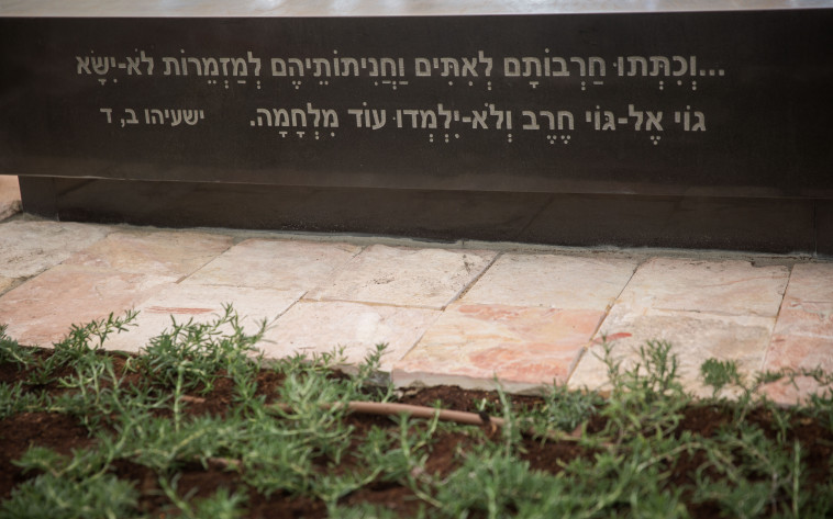 צילום: הדס פרוש, פלאש 90