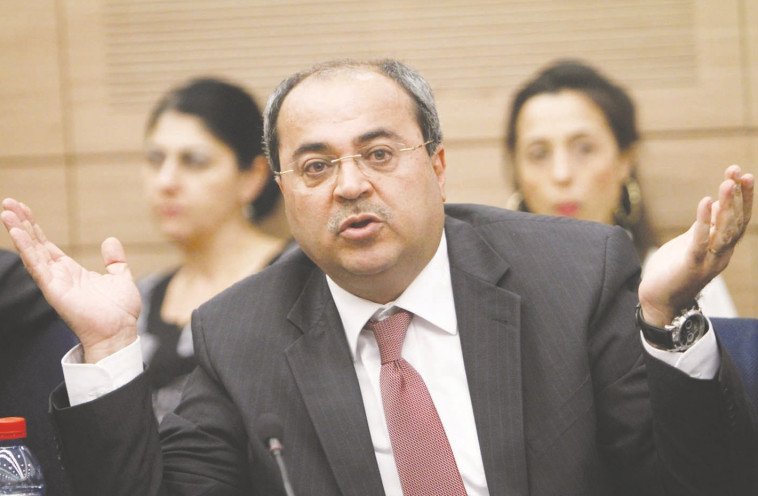 ח&quot;כ טיבי. צילום: מרים אלסטר, פלאש 90