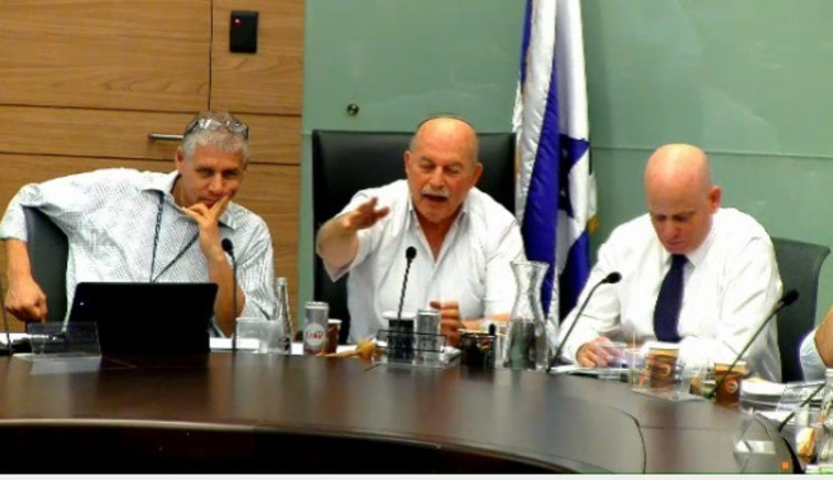 החוק פוגע בדמוקרטיה. עו&quot;ד ינון עם יו&quot;ר הוועדה ח&quot;כ ניסן סלומינסקי. צילום מסך