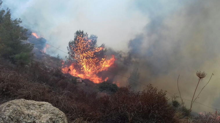 השריפה סמוך לנטף. צילום: דוברות כבאות והצלה בית שמש