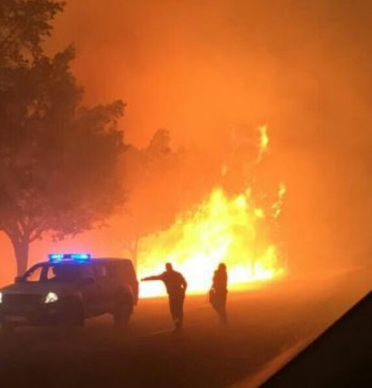 השריפה בבית מאיר. צילום: ללא קרדיט