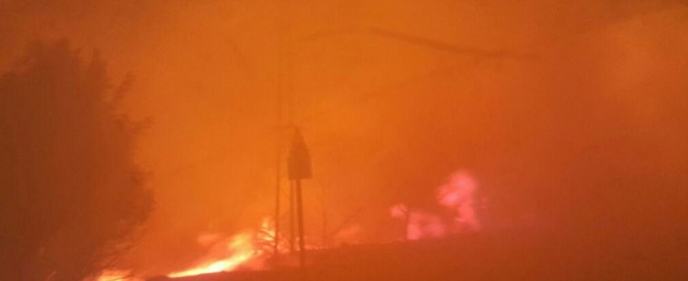 השריפה בבית מאיר. צילום: מוקד 443 בית מאיר