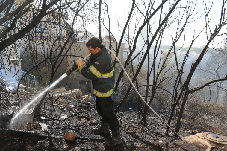 שריפה בחיפה. צילום: ערן לוף
