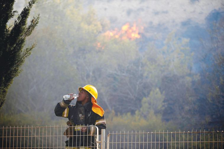 כבאי מול השריפה בחיפה. צילום: יונתן זינדל, פלאש 90