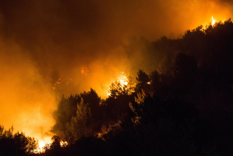 האש בוערת בנטף. צילום: יונתן זינדל, פלאש 90