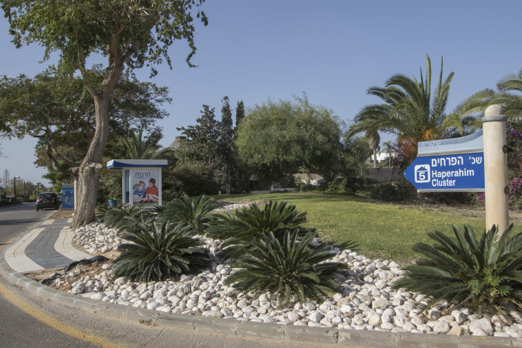 קיסריה. צילום: יוסי אלוני