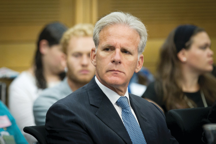 אורן. צילום: מרים אלסטר, פלאש 90 