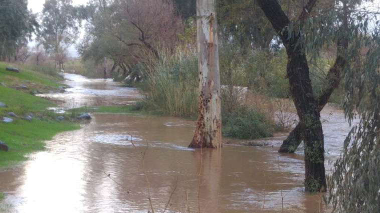 הזרימה בחצבני. צילום: גיא קולר, רשות הכנרת