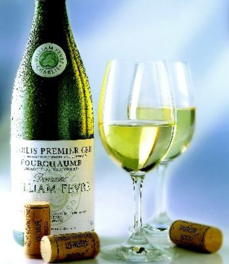 דומיין וויליאם פבר שאביל. צילום: יח&quot;צ