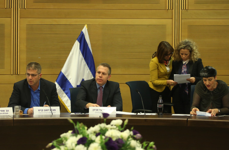 השר ארדן במהלך הדיון, היום. צילום: מרק ישראל סלם