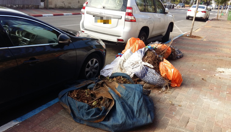 רמת גן. צילום: משה כהן