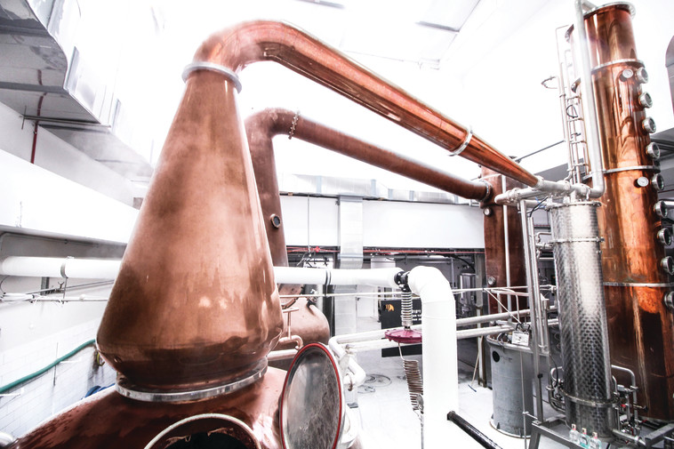 מרכז המבקרים של מזקקת הוויסקי &quot;מילק אנד האני&quot;. צילום: יפעת זוהר