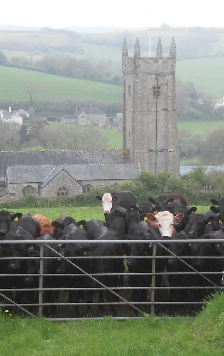 העירייה שנגפורד, מחוז דבון. צילום: מאיר בלייך