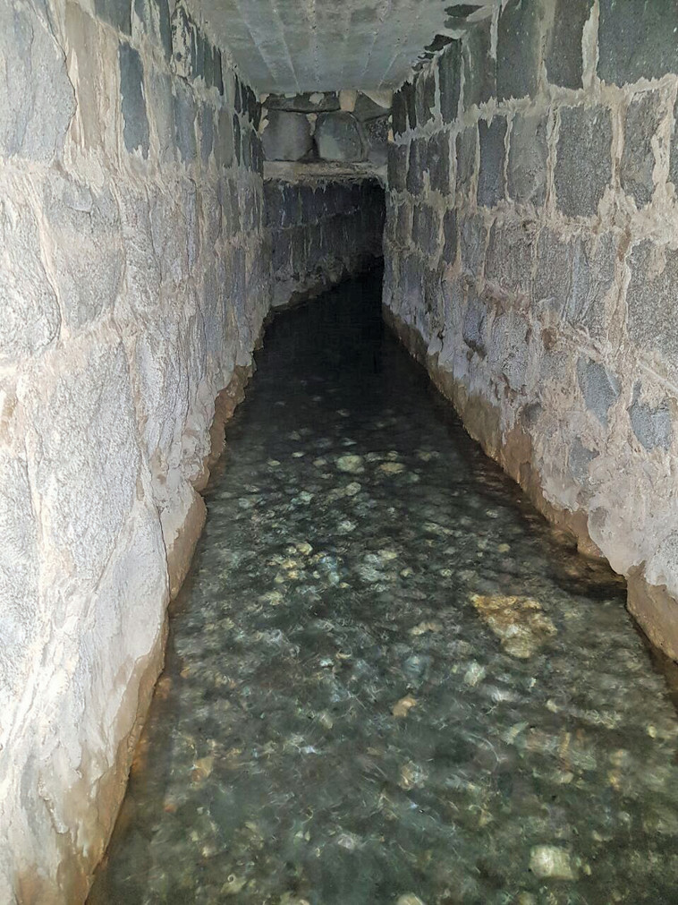 הניקבה. צילום: מיטל שרעבי