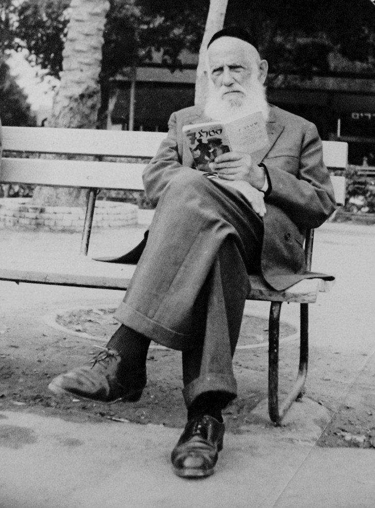 הזקן והסטלג. צילום: נתן זהבי