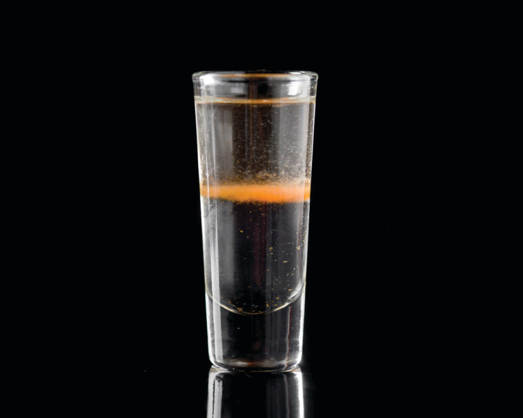 שוט של red line. צילום: יח&quot;צ