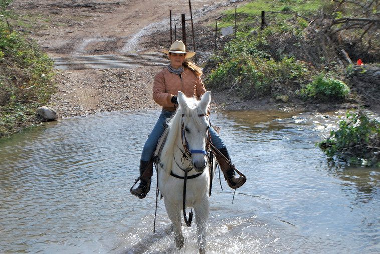 רכיבה על סוסים ב&quot;חוות דובי&quot;. צילום: מיטל שרעבי