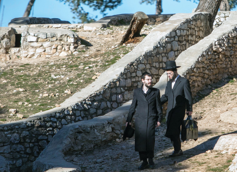 &quot;לא הולך לצבא, אבל לא אדיש&quot; זאב ויעקב. צילום: יוסי אלוני