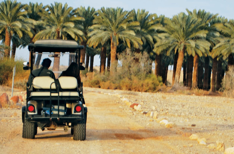 פעימות מדבר. סיורי טבע וחקלאות. צילום: מיטל שרעבי