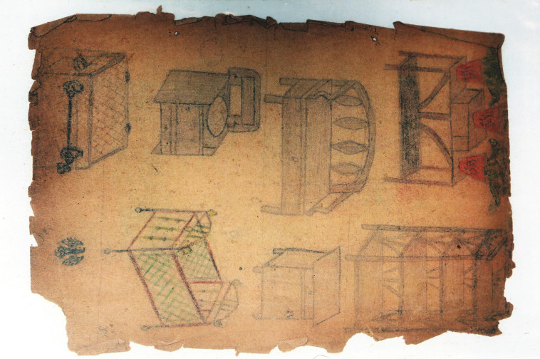 ציוריו של ג'ק יגד בגיל 8