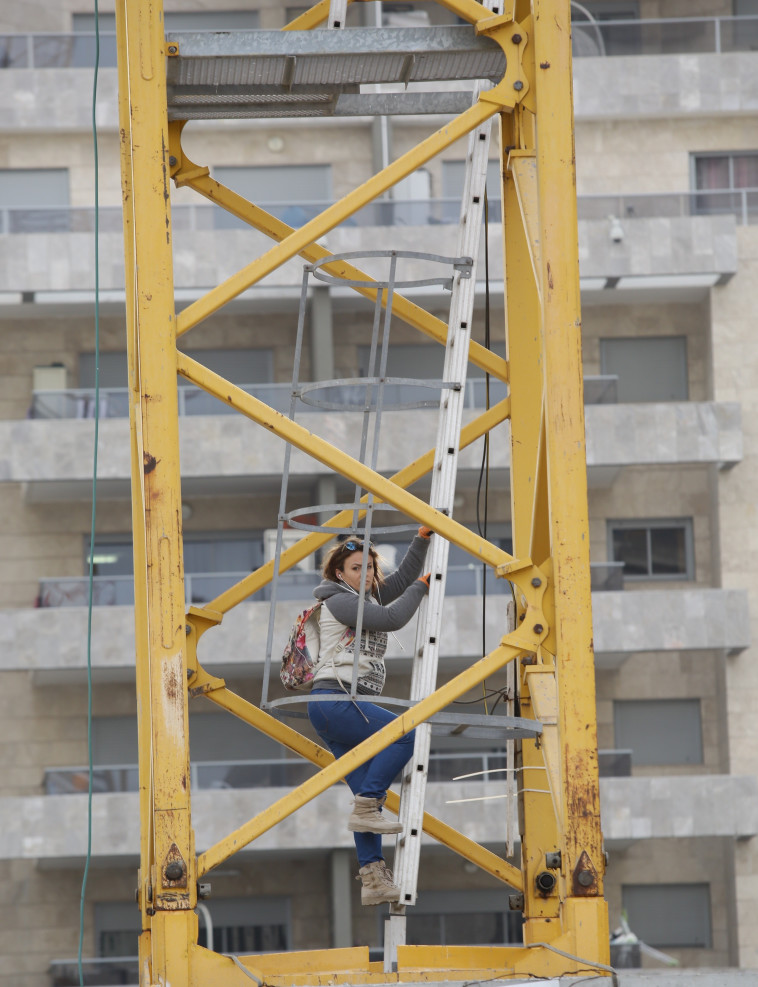 צילום: אלוני מור