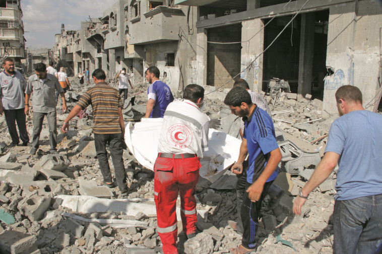 חיזיון סוריאליסטי קשה לצפייה. &quot;אמבולנס&quot;, צילום: יח&quot;צ