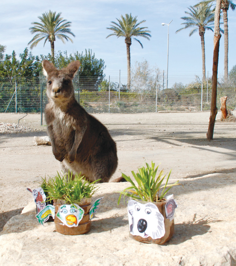 גן גורו. צילום: נדב כפיר