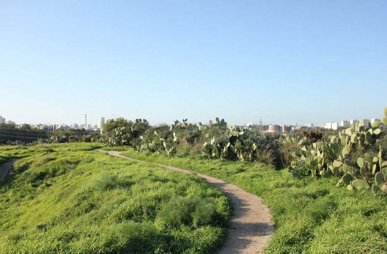 גבעת נפוליאון. צילום: יח&quot;צ