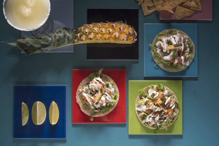 רוח צוהלת. מסעדת &quot;מקסיקנה&quot;. צילום: אנטולי מיכאלו